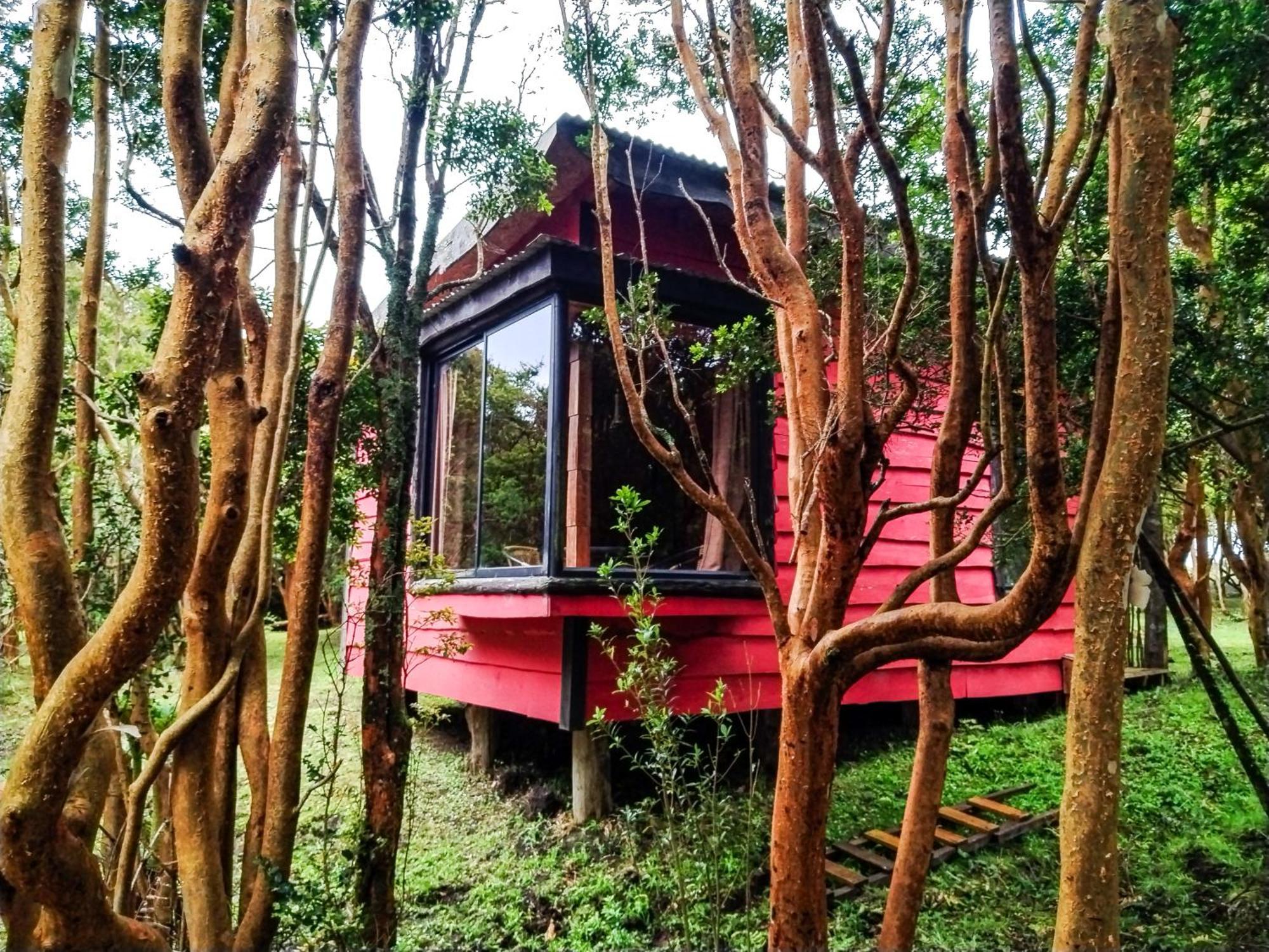 Hostal & Cabanas Luna Del Sur Cucao Ngoại thất bức ảnh